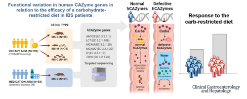 Graphical abstract of the scientific publication